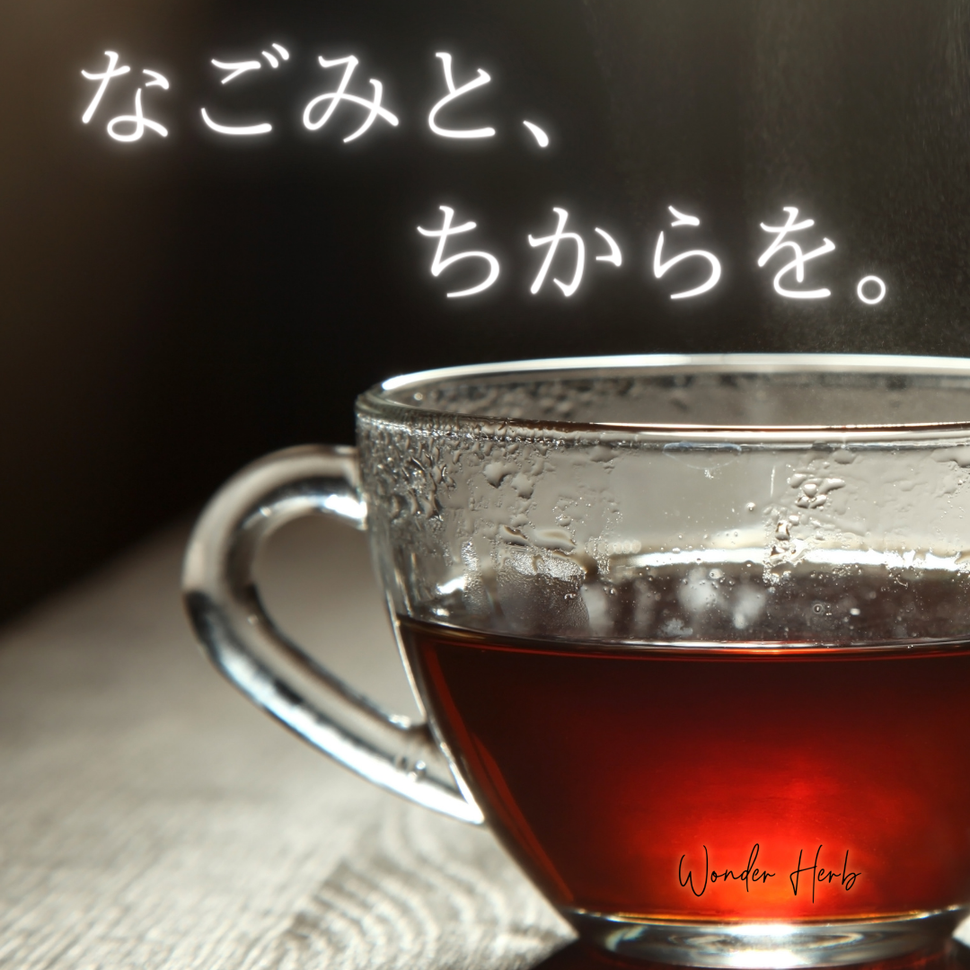 なごみと、ちからを