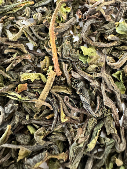 2025年 ダージリンファーストフラッシュ 30g｜ジュンパナ茶園 UPPER（春摘み）