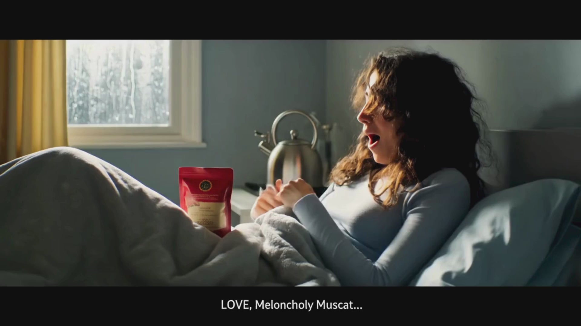 動画を読み込む: 